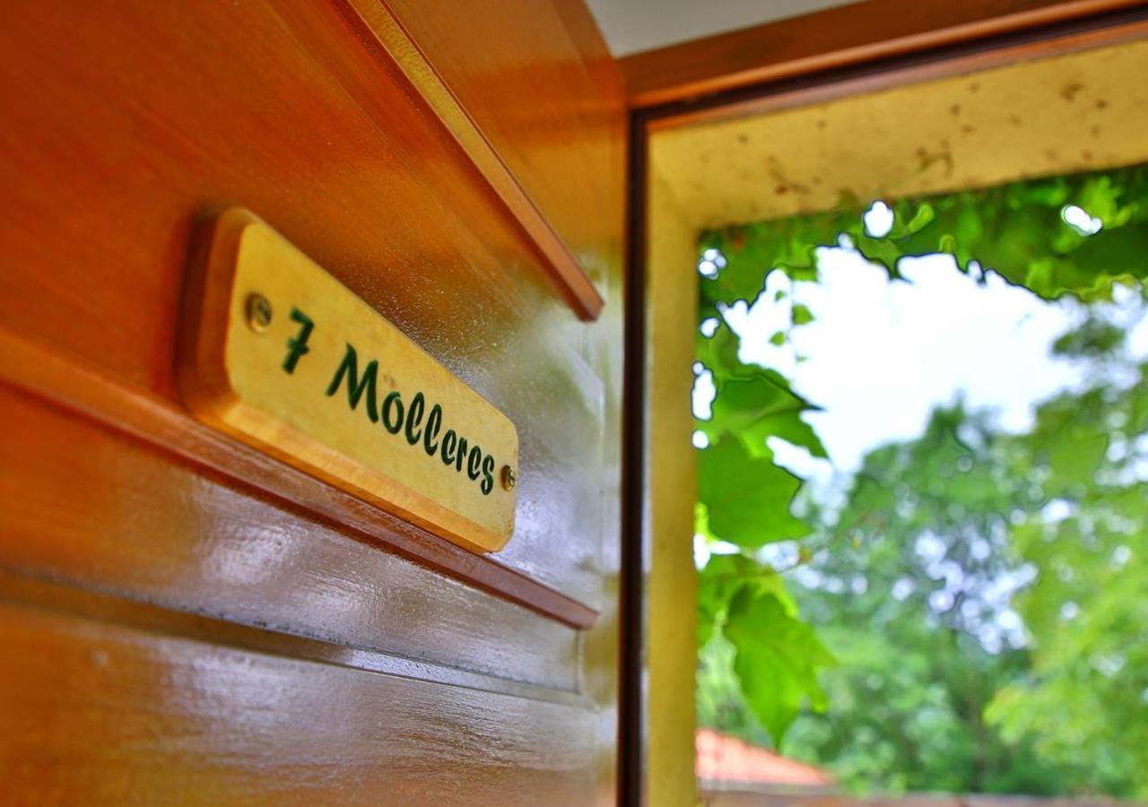Beau Vallon - Gîte et Chambres d'Hôtes Pyrénées-Méditerranée - Pays Catalan Sahorre Extérieur photo